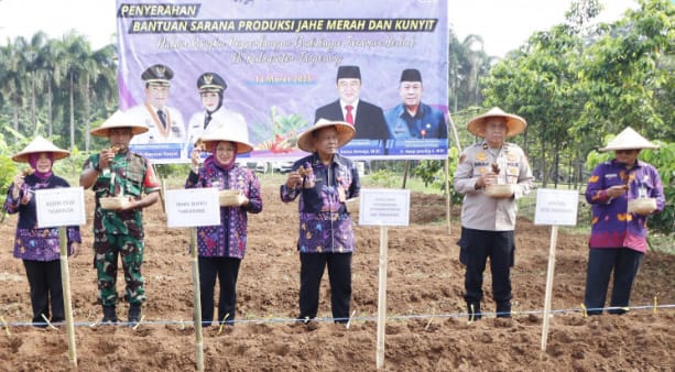 Wabup Tangerang Serahkan Bantuan  Sarana Produksi Pertanian
